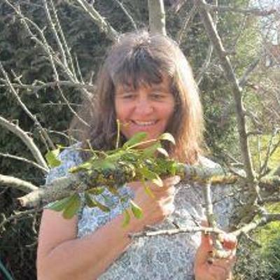 Schuster-Hiebl, Sieglinde